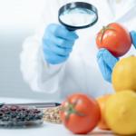 Quality Foods Requirments For Every Human Body’s