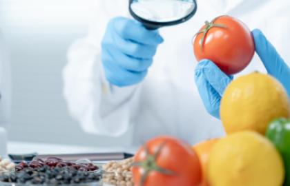 Quality Foods Requirments For Every Human Body’s